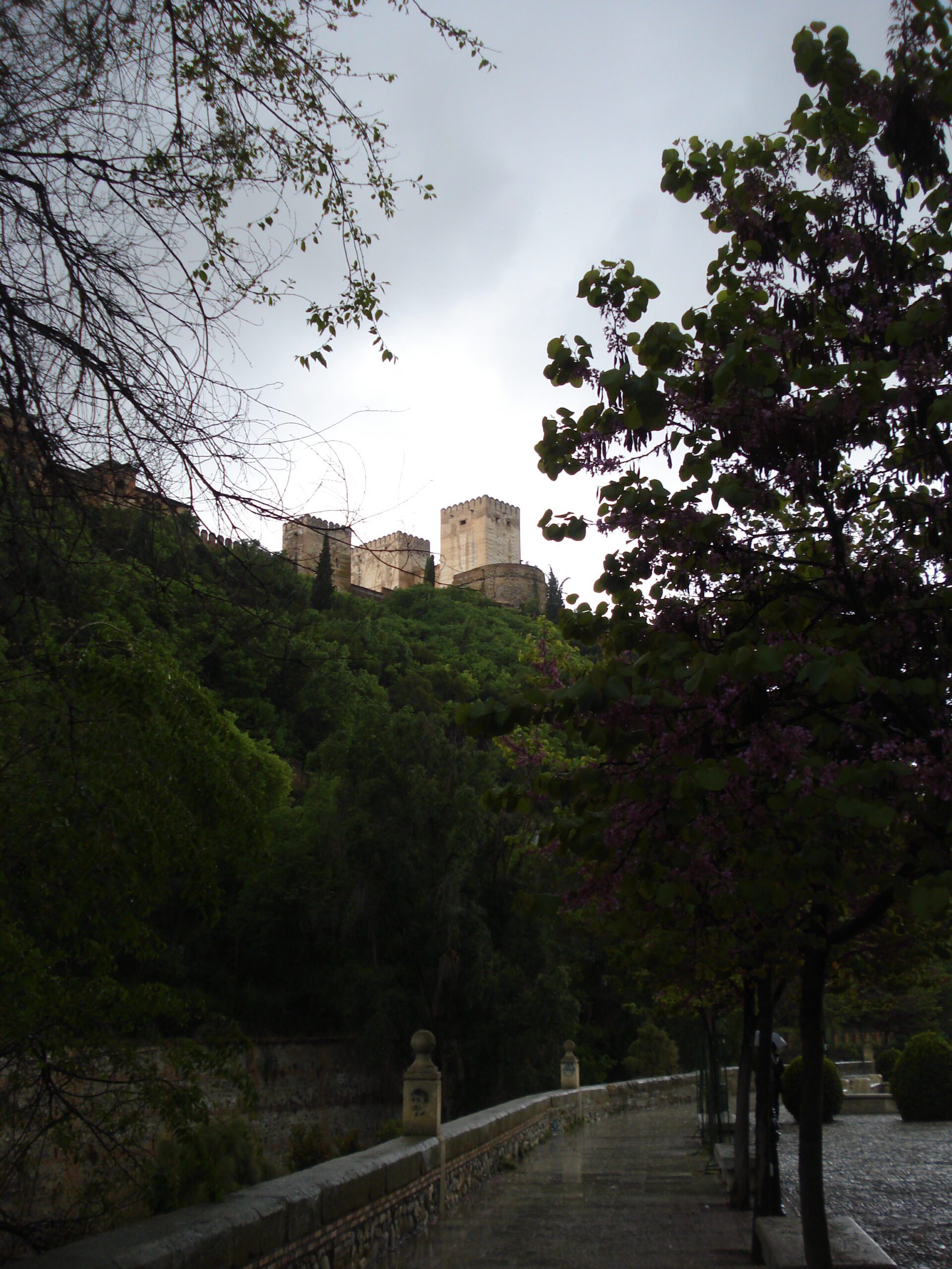 Alhambra-dia-nublado-paseo-de-los-tristes