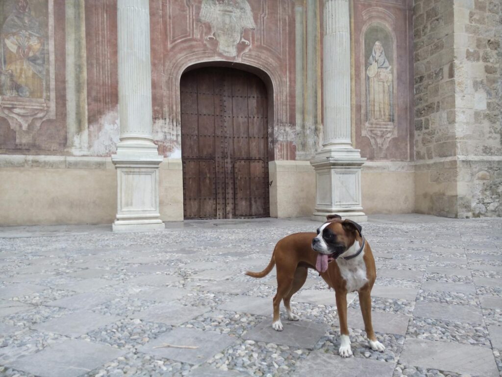 Iglesia de Santo Domingo del Realejo (Granada) con nuestra mascota